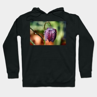 Snake's Head Fritillary Hoodie